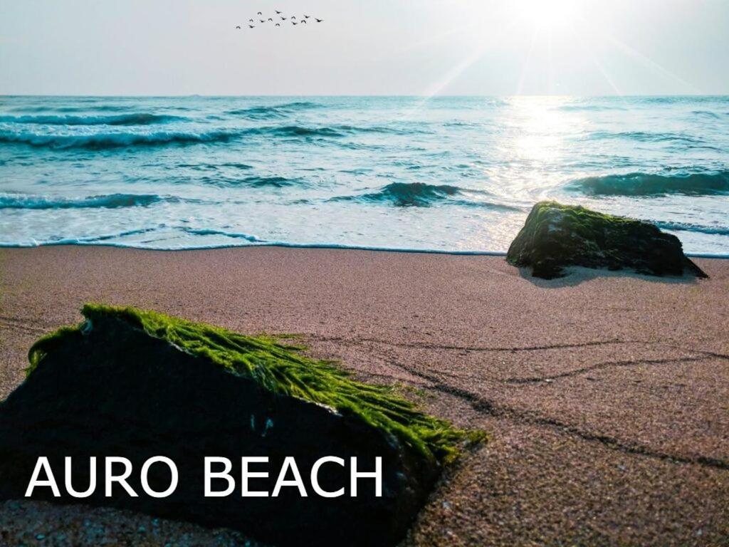 Pv Inn Puducherry Zewnętrze zdjęcie